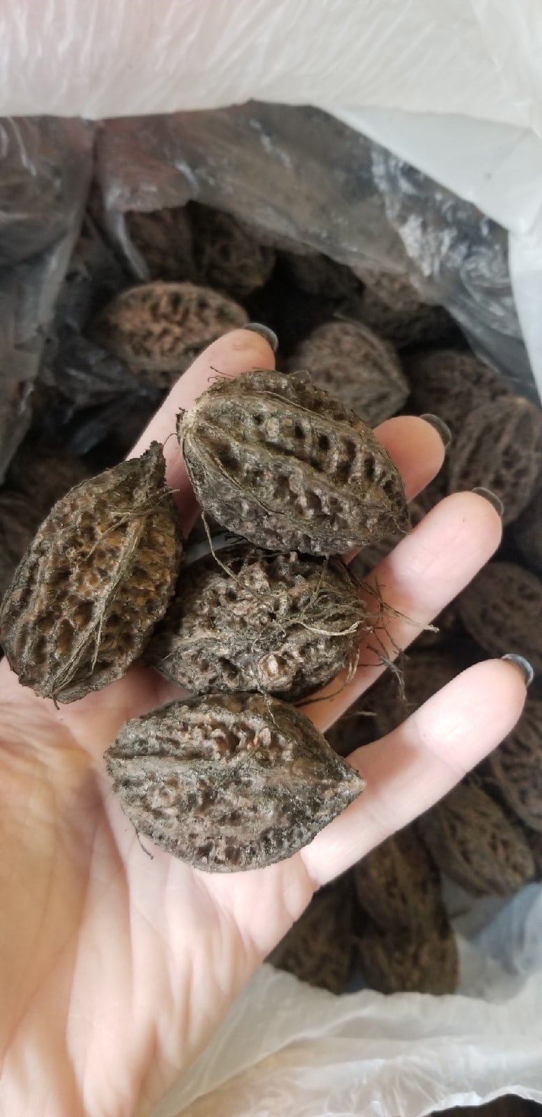 �������� ������� ������� �������?