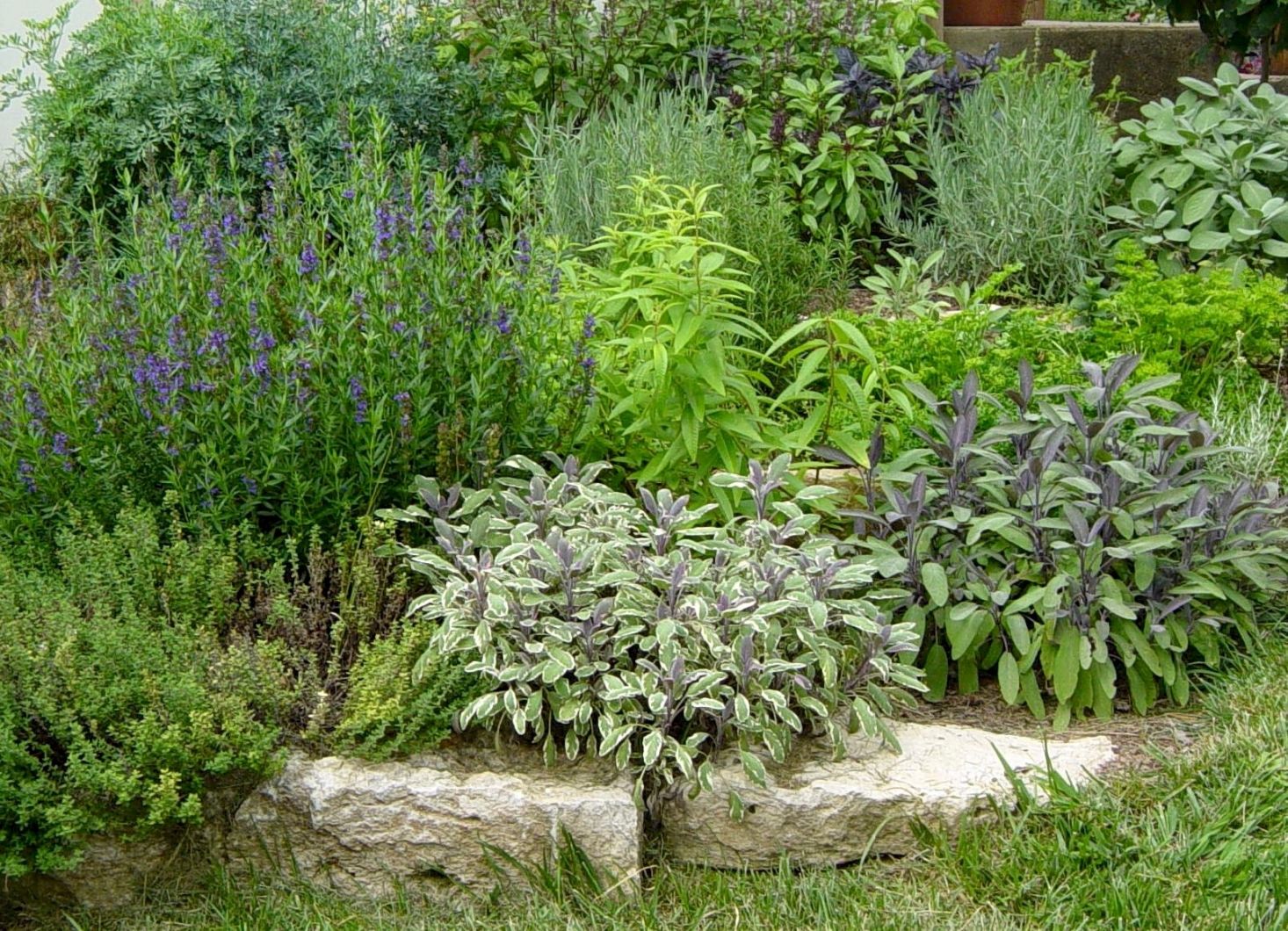 ��������!!!! ����������� ����� ������ �������� ��� ���� - ����, �������, ������, �������� � ������, � ����� ���������� ������������� ������������. �� ����� 2023