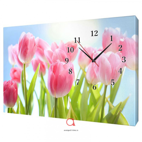 [b]���� ��������� ,���������� ,����������.�������� ����� , ����� ������ ����!�85 [/b]