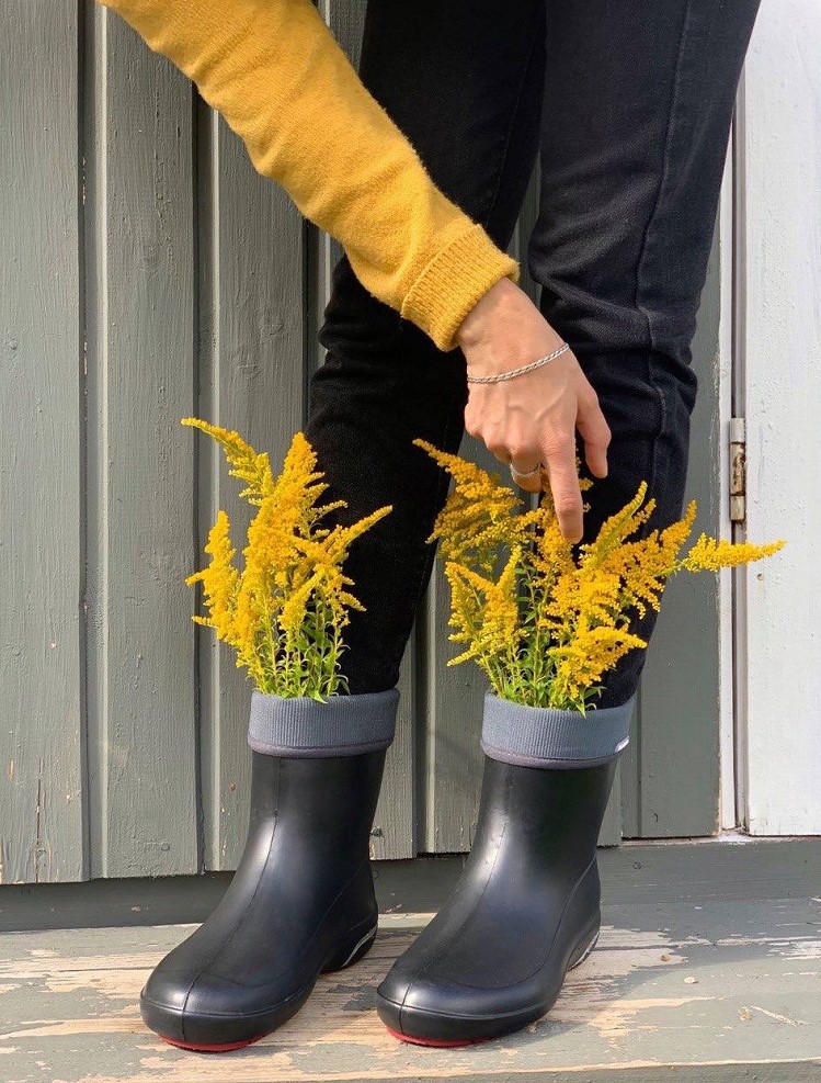 �������� ������� ������ �� �������-����