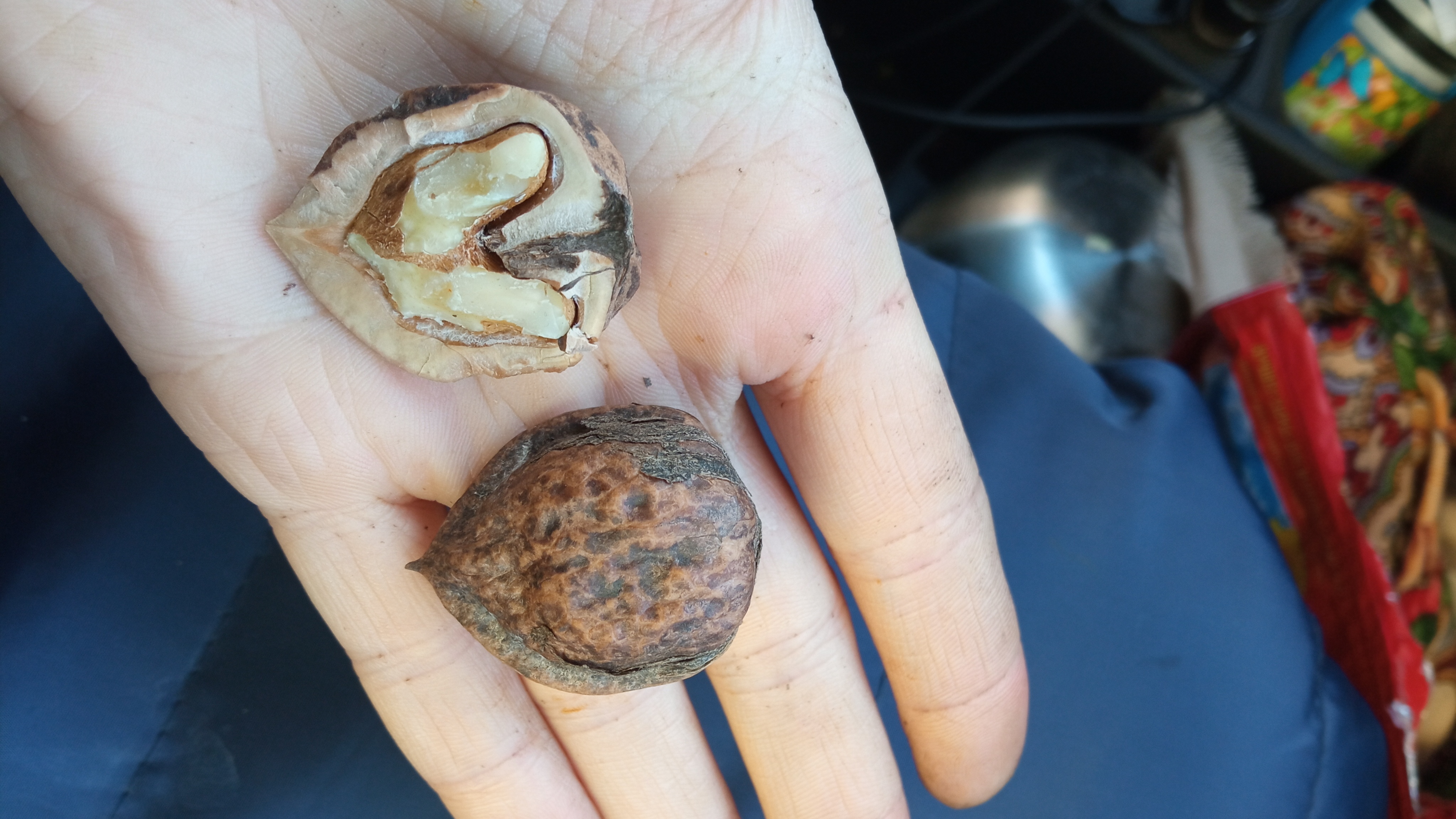 ������� ����� � �������������� ����� 35! 5 ������.