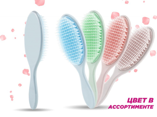 �������� ��������� Zebo Professional ��������, ���� � ������������