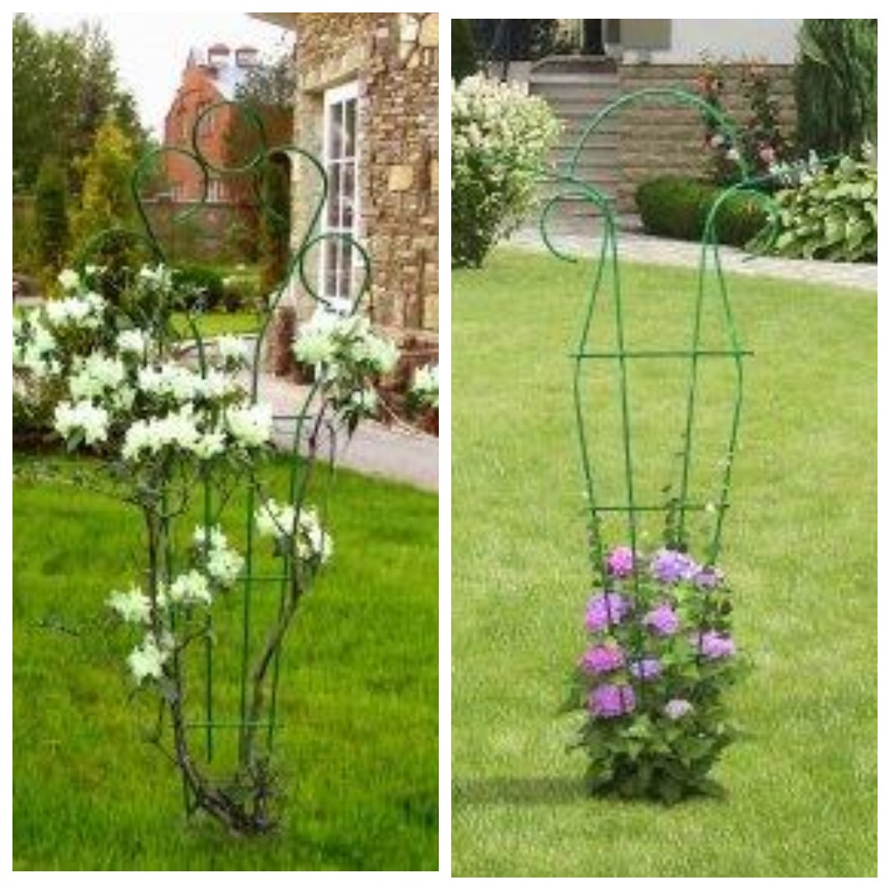 ��������� ����� ��� ������������ ��������� �������� ��������!������� ������ ������� � ������ ��� >>>>