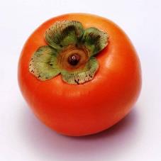 ����� ����� ���������! �����! ��������! 100% ����������� �������!