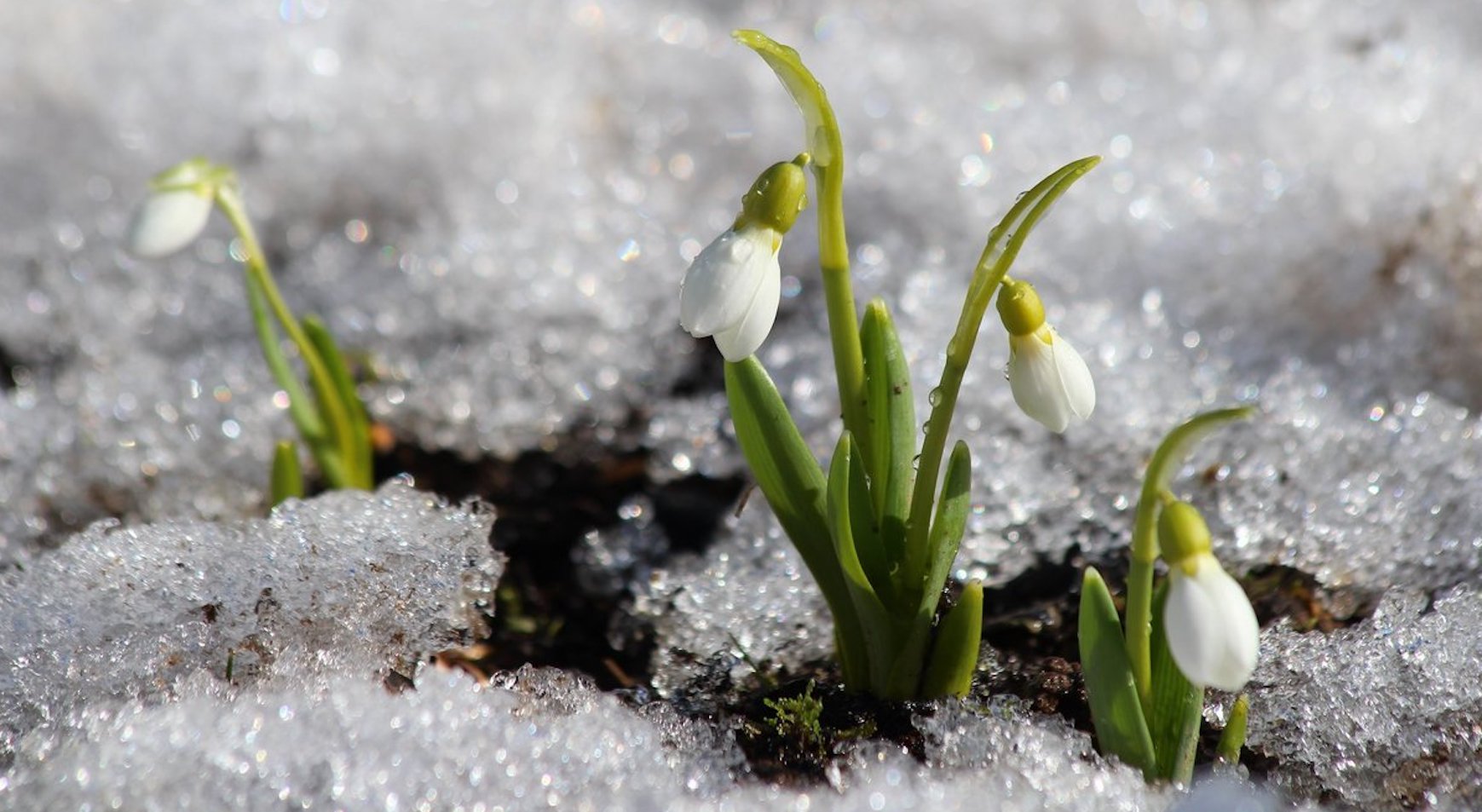 �����̣���� ��������!