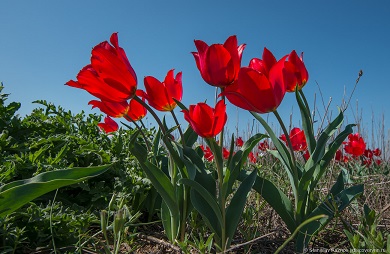 �������� - �������� ����� � ������!