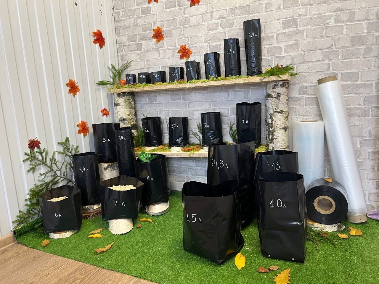 �������� - ���� �� 09.03 ������ ��� ������� � ��������, ����������� ������. ������� �������.