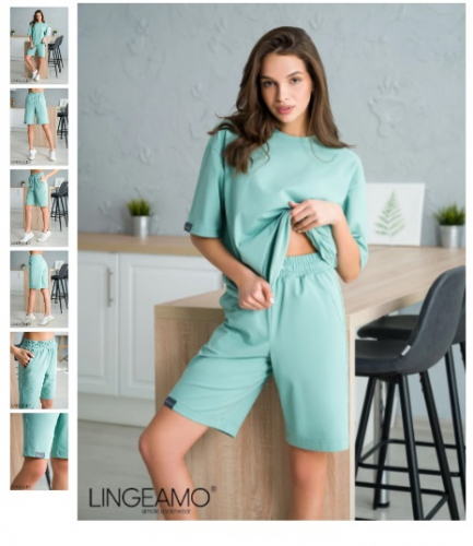 ����������� ��������� ������� ������ "Lingeamo .