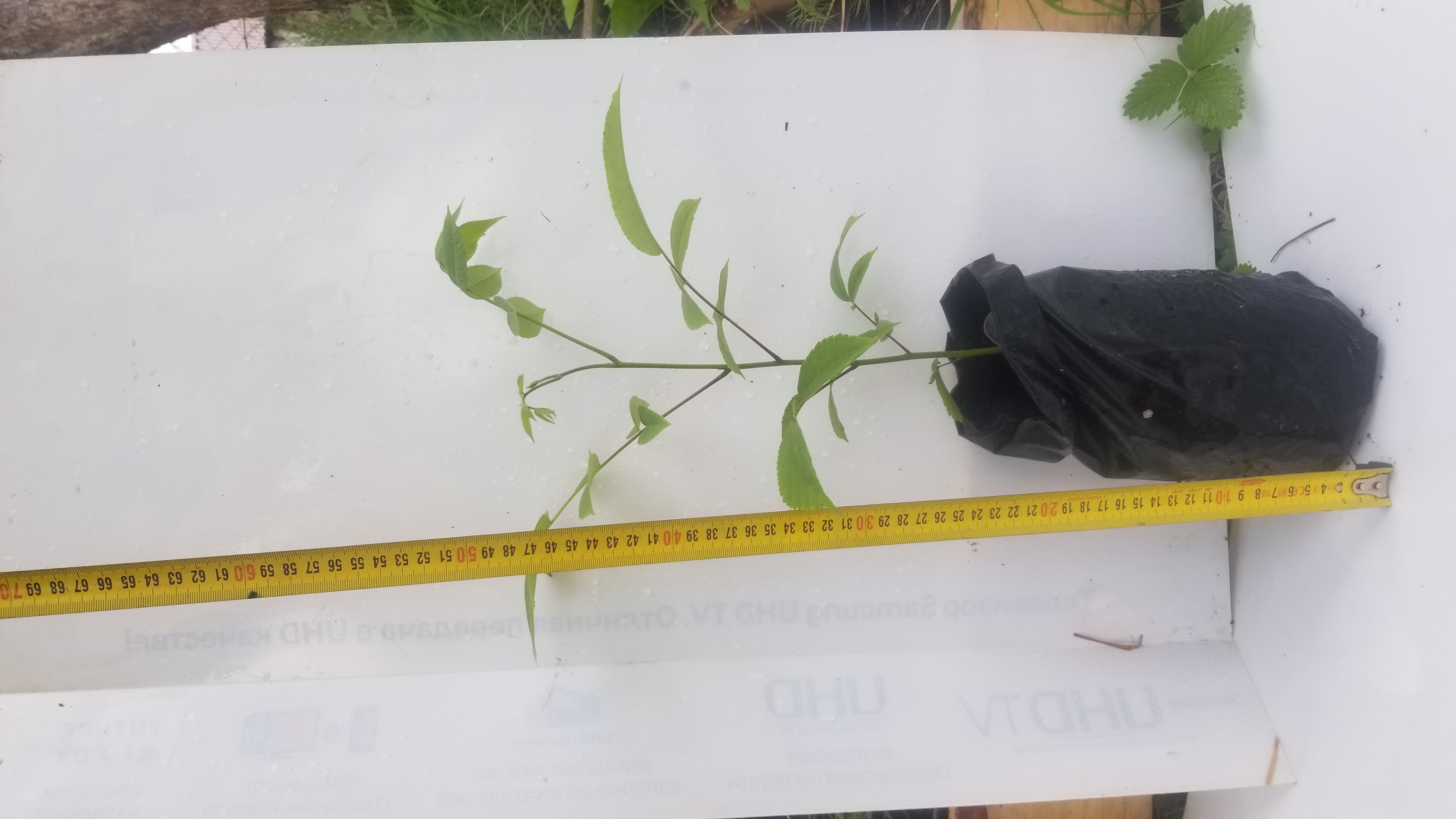 ������� ������� ������, �������� � ������������� ������� ��� �������!