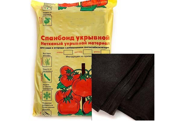 �������� ������, ������ �������������� � ���.������ 3%.