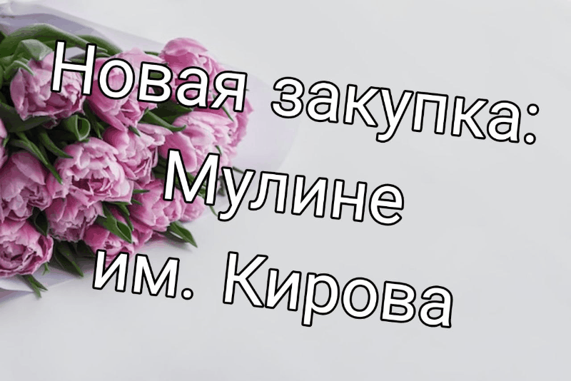 ���� �� 20.02. ������ �� ������