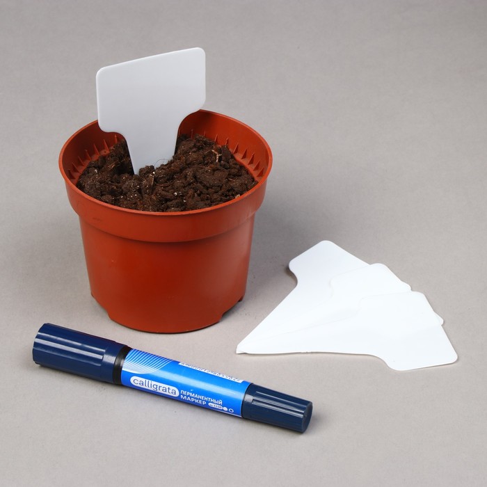 ������ �� ������������ � �� ���������� � �������� �������!