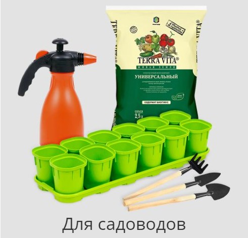 ������ ��� ���� � �������. �����-10.