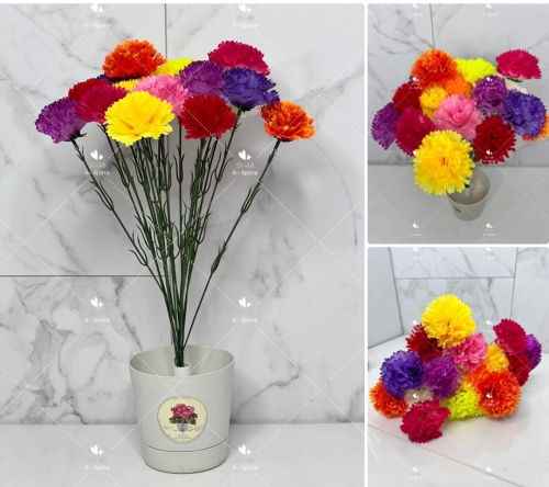 �������� 1��-7 ���