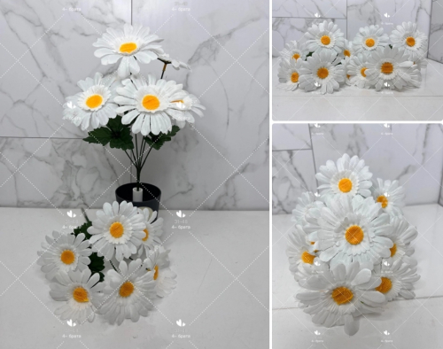 ������� 28 ���.