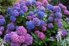 ���� �� 20.03. ���������-��������� �������! ���������, �������, ����, ����������.��������, ������ , �������, ���������, ������, � ������. ��� ����!!!! ������� �������