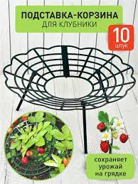 [b]���������� ��� ���� Protex!����� ��� �������� , ���������� ,����� ��� �������.22  [/b]