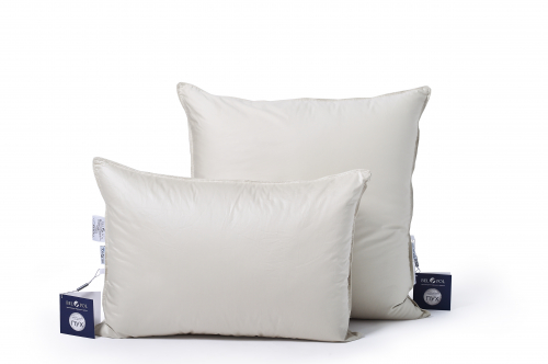 ������� ������� "Terra" � ������ == ���� �� 2000 �.!!