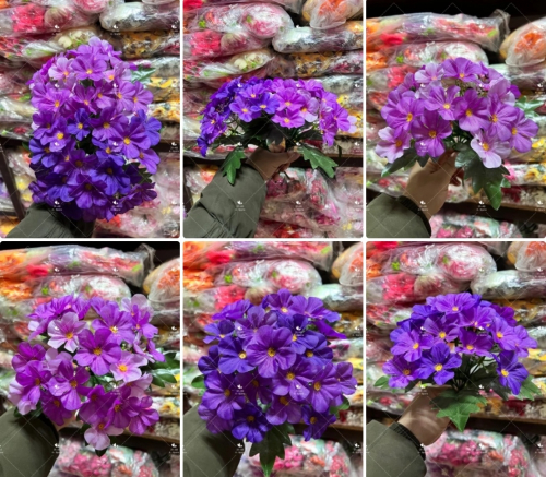 � �������.����� �������������