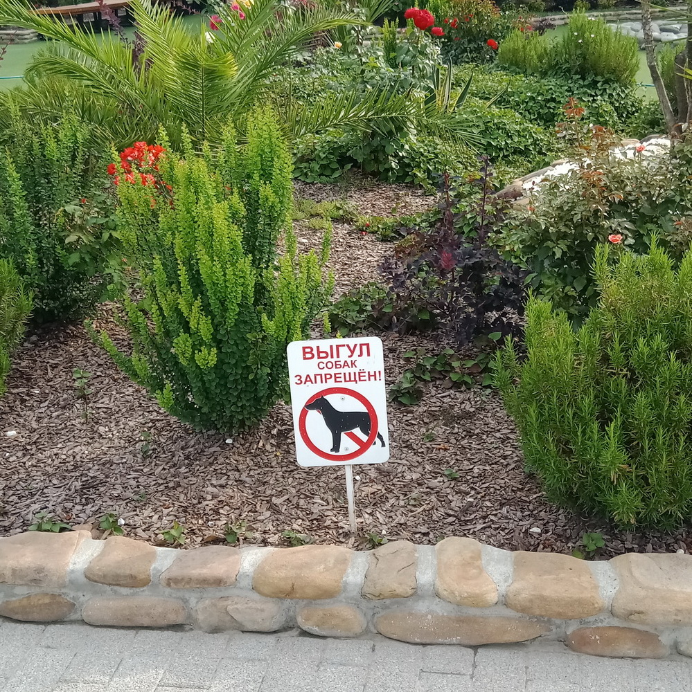 � ���������� ���� ������������ ���� �������� �� �����