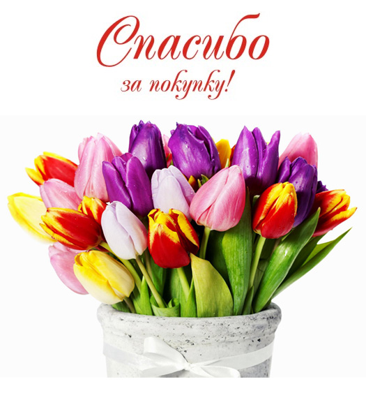 ������� �������� ������������ - 47. ������� ������� 