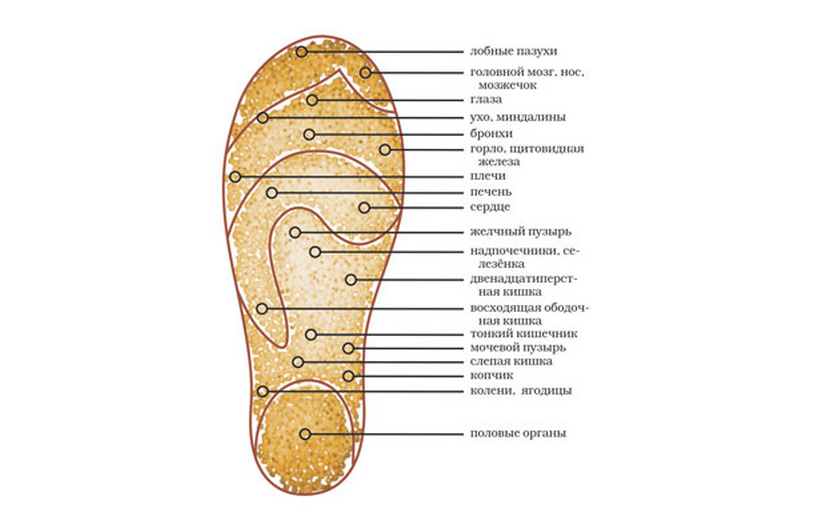 C��� �� 5 ������. ������������ ��������� �������, ������ � ������� ��� ������ ��������. �������������, ����������, ������������ 