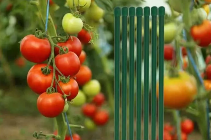 ������������ ������������ � ��������� ���������� ������!������� ������� ���������� ��� ����������� ��������, ������� ����� �������������� �����. � �� ������� ��������� ����������� ���� �������, � ������� ���������� ������� ������ � �����.