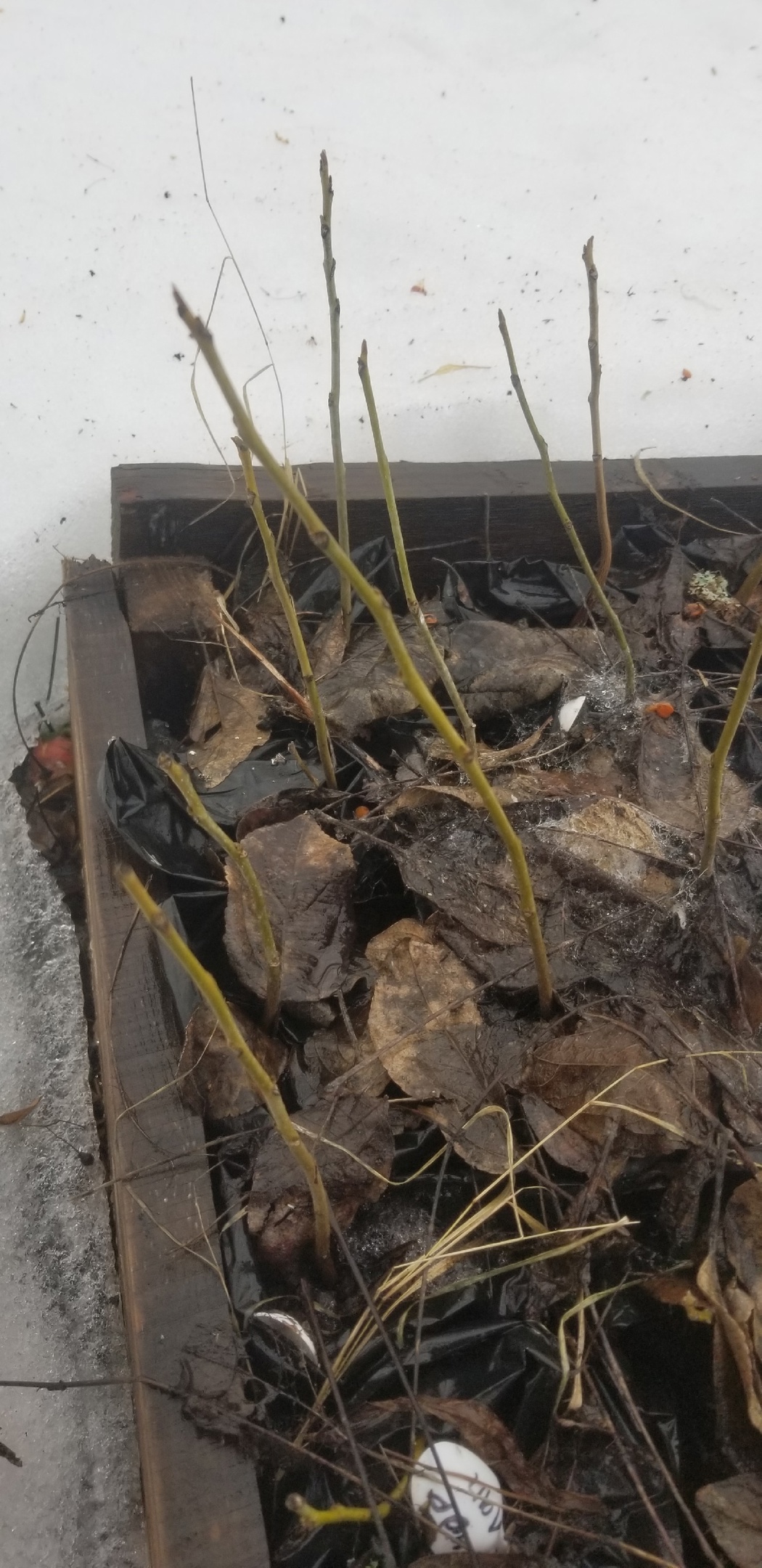 ������� ����� � �������������� ����� 35! 5 ������.