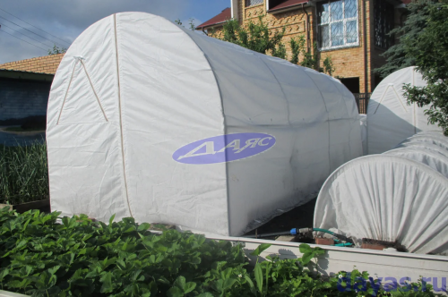 ����: �������, ������, �������� ��������, �����, ������, ��������� � ��. - 99 