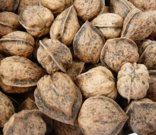 ��� �������� ���� ����!