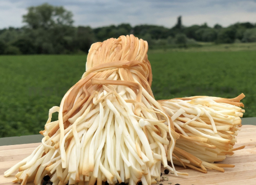 ������. ����� ������� ��� ����� �������� ����!