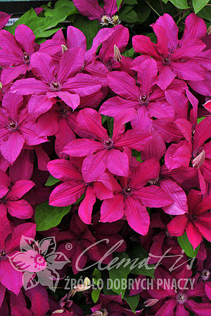 [b]���� �� 04.04. ���������,����,�����,��������� -����.[/b]