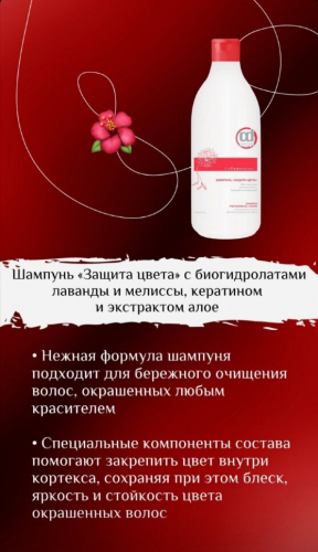 Con*stant Delight ����������� ����. ��������� ��� ����� 6