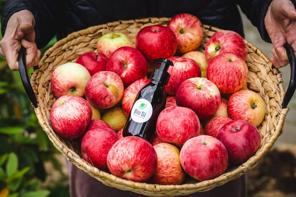 ������������� ������� �� ������ ������������ ��������� ������� �������� �������� ���������� �� ����������� ����������