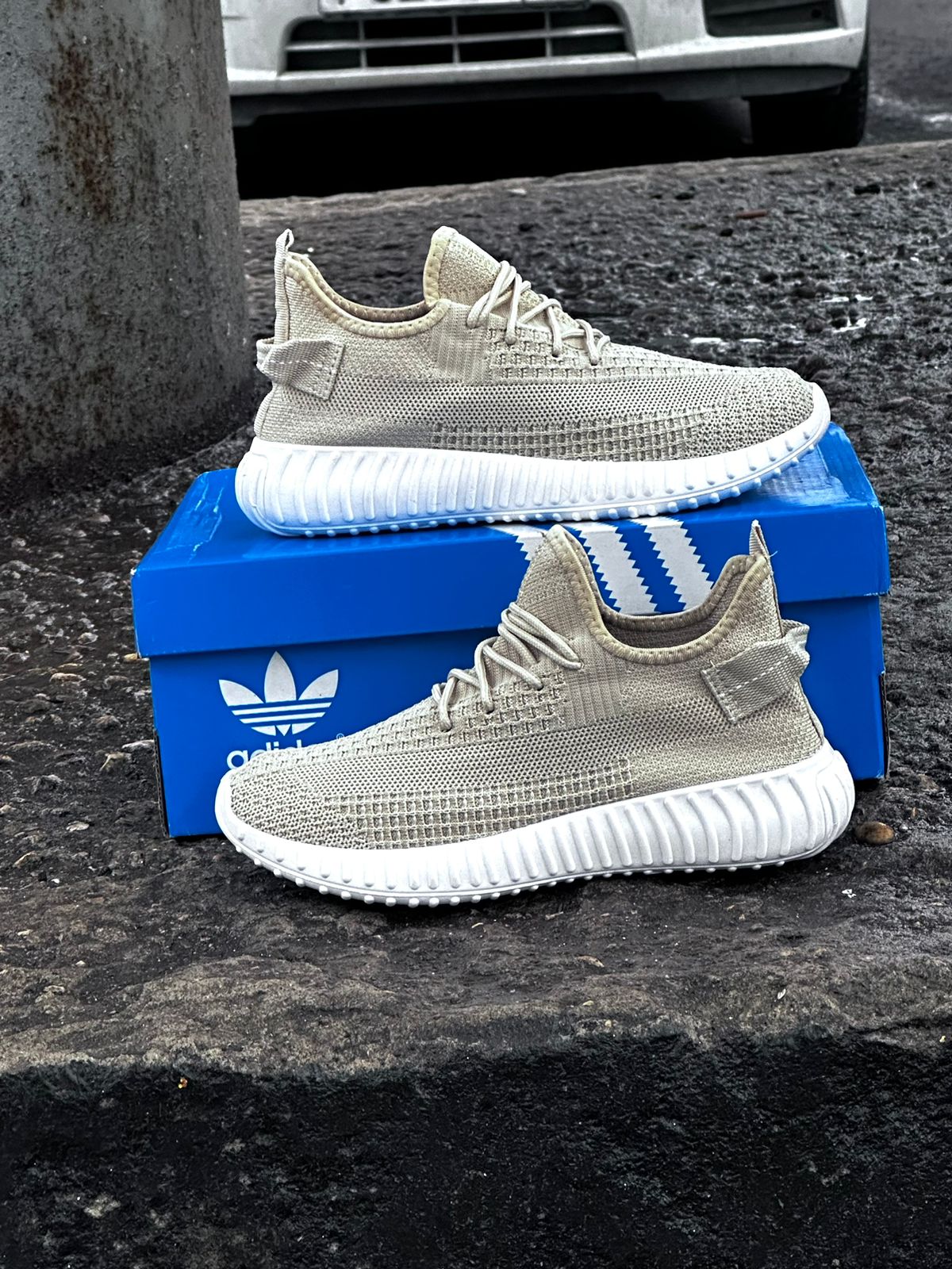 [b]����������! �������� ������! ���������, ���������!  ����� �� ������ �����! [/b]