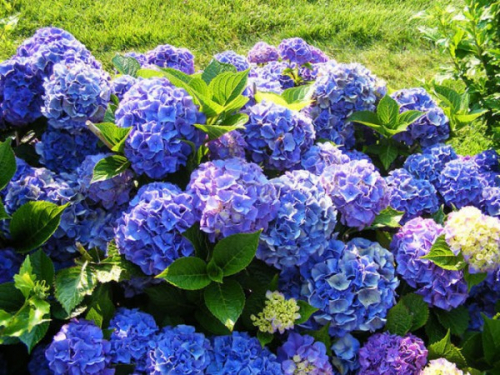 ���� �� 17.04. ���������-��������� �������! ���������, �������, ����, ����������.��������, �������, ���������,���������, ������, � ������. ��� ����!!!! ������� �������  