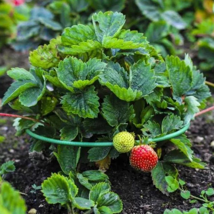  ��������� ��� ��������! ������������� ��� ������ ���� �� �������� � ������. �������� ��������� ������ �� ������� � �������, ����� ���������������, �� ���������� ����� ��������. 