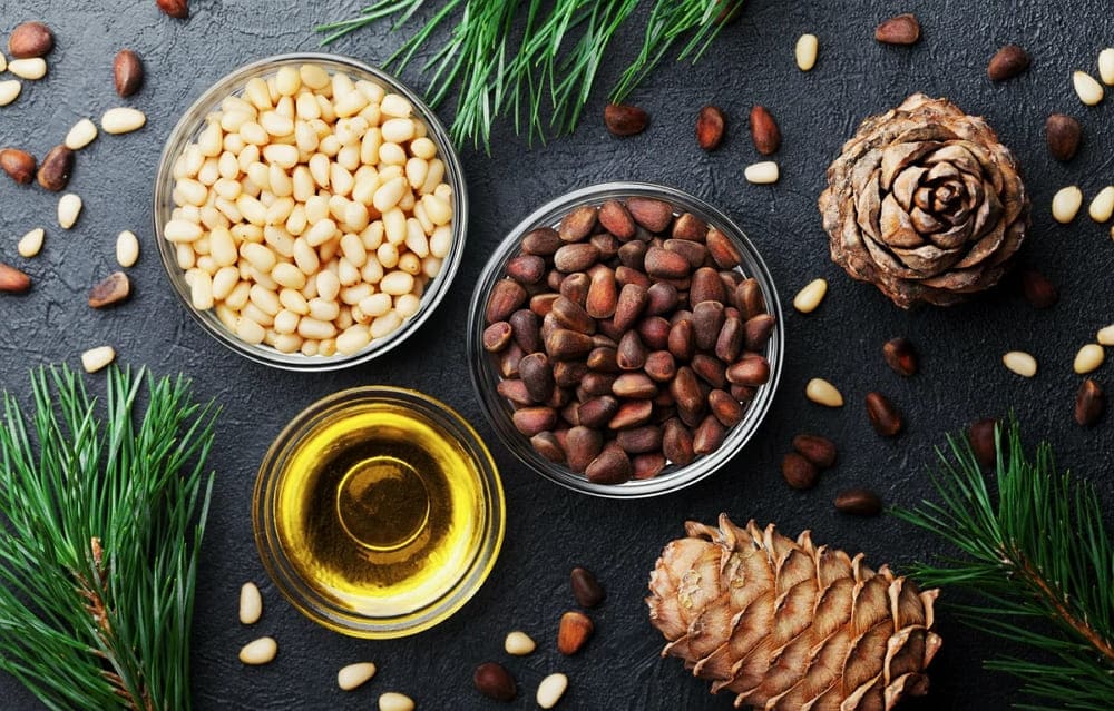 �������� ���� � 2 ����! ������ �������� ������, �����, ����, ������ ����!  ����� ������� �� �����!