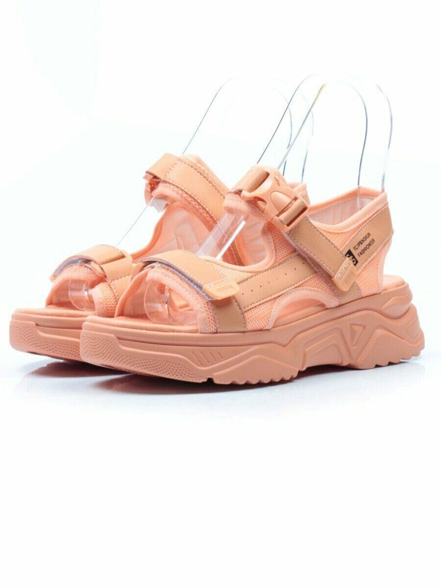 ����� �� ����������� ����. ����� ����. ��������� �����. ��� �����.