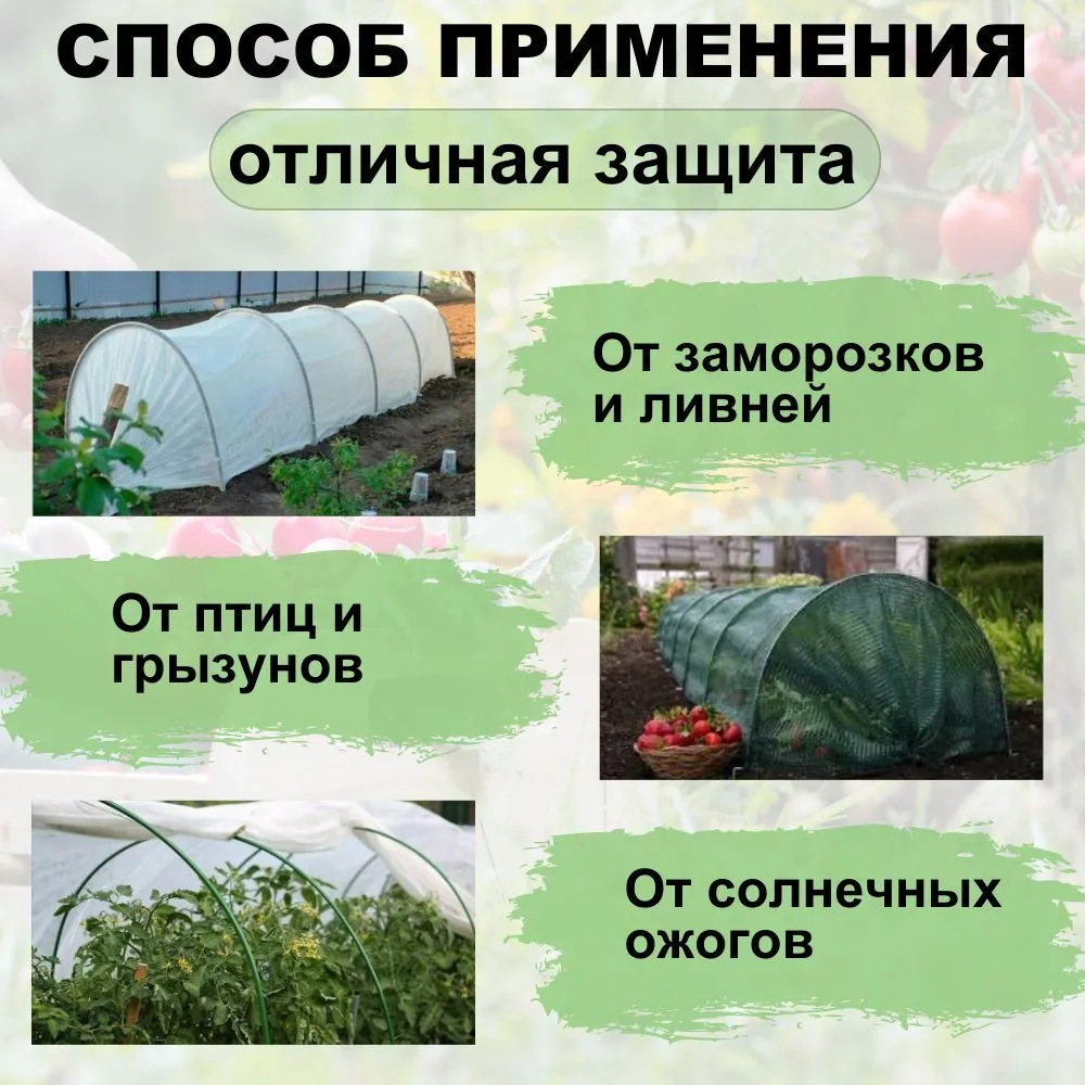 ���� ����������!� ������ ����� ������ �� ��� ����� ������� ������, ����� �������� �������� �� ������ � ������ ������.