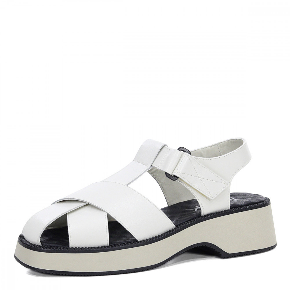 ���� ���������. �������, ������� ����� ��������� �������. �2