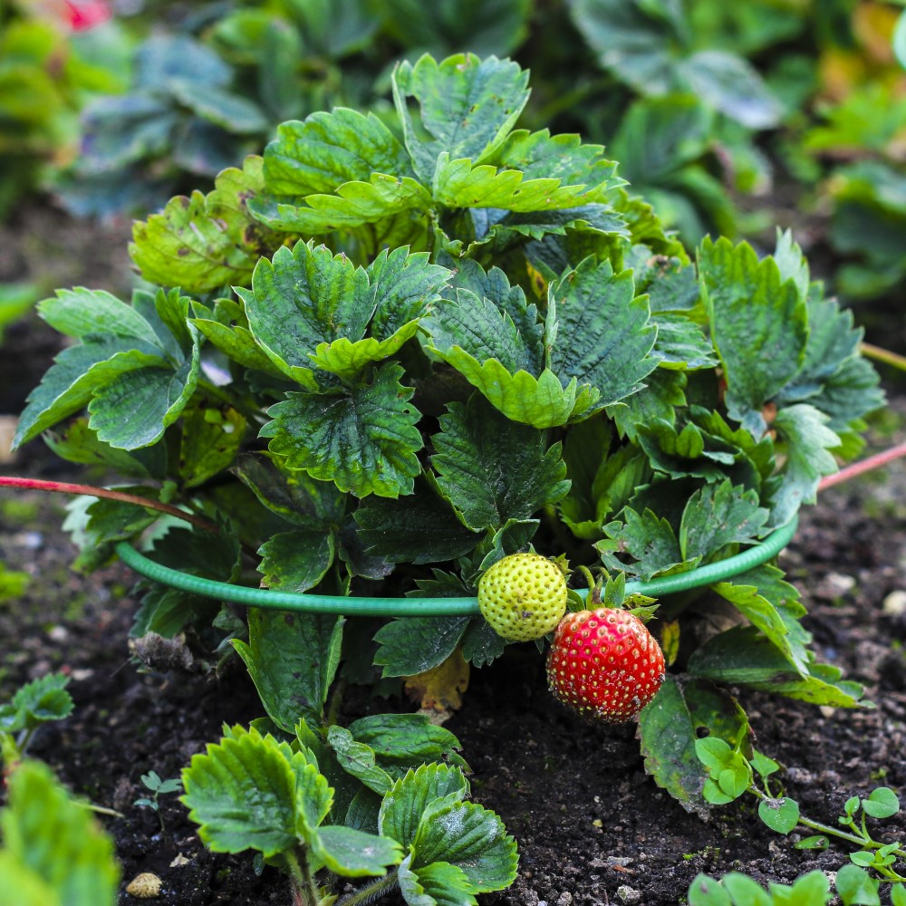 ��������� ��� ��������! ������������� ��� ������ ���� �� �������� � ������. �������� ��������� ������ �� ������� � �������, ����� ���������������, �� ���������� ����� ��������