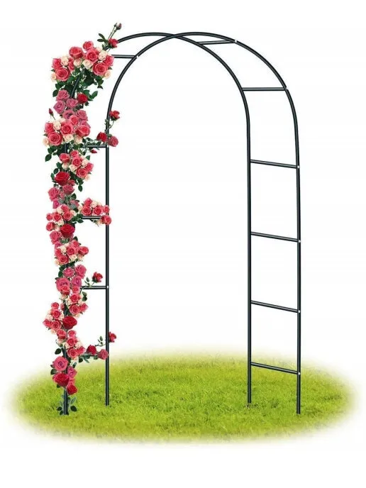 ������������� ���� ��� �������� �������� -�������� ������ ���������� �������, ������ ������� ��������� � ������ �������� � ������������ �����, ��������, �������, ��� ������.