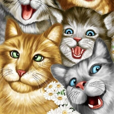  ���� �� 12.05.��������� �� ����� ���� � �������: ����������, ��������, ������, �����, ��������, �����, ������������, ����������� ������, �������, ���������� ��� ���� � �����. 