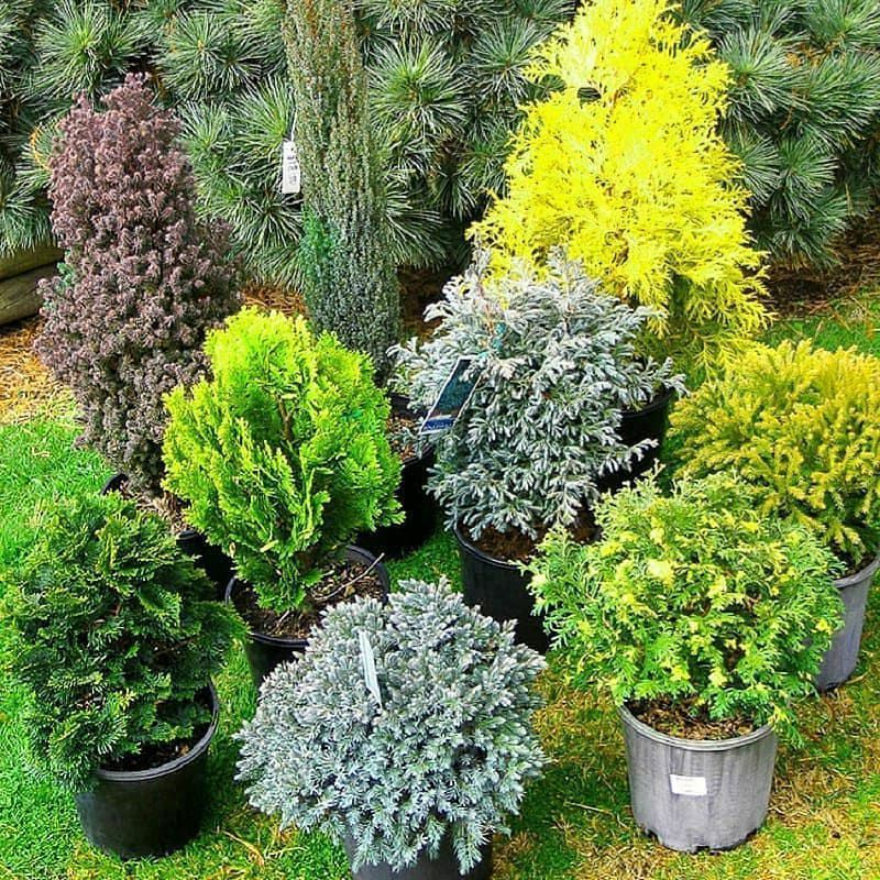 ��������� �� ������� �� ���������� ����������� -1.