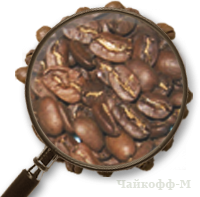 ���� ��������� ���������� ����� � �������