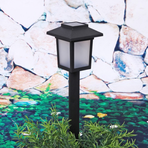 ����-������� �� ���� � ����! �������, ������ ��� ������, ��������� � ��.  