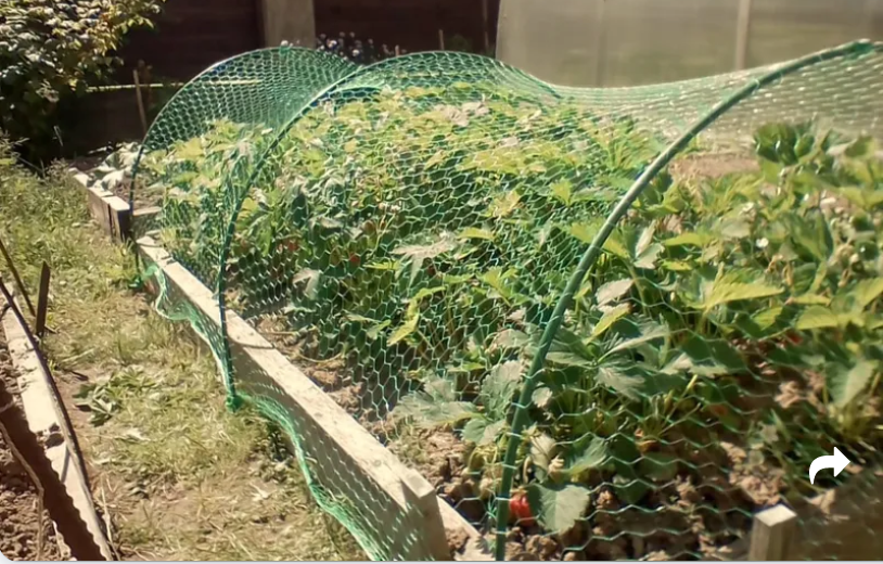 ���� ��� �������! ����������� ���������� ��������� � ����������� ��� ������ ������ �� ����� � �����. � ��������� � �������� ���������� ������ ���� ���� ������� ��������� �������� ��� ����������� �� �������� �������.