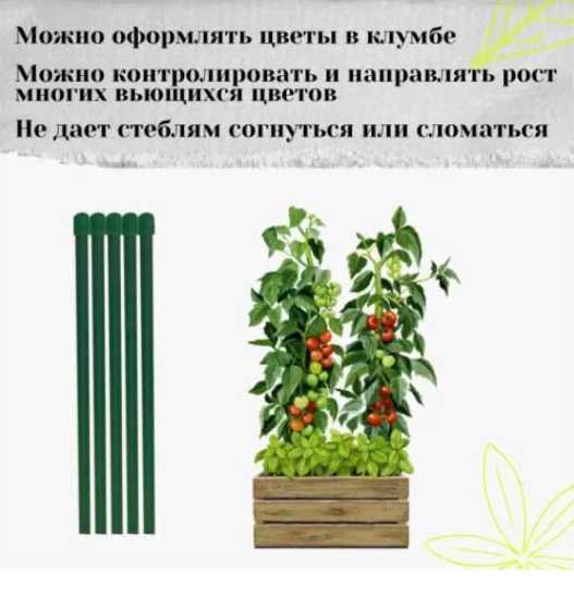 ��� ���� ����� ������� �������? ��������� � �������� �����, � ����� ������������ ��������� ���������� �����. � �������� ������ ����� �������� �������� �� ����� � �����, ������� ��������� ��� ����� � ������.  