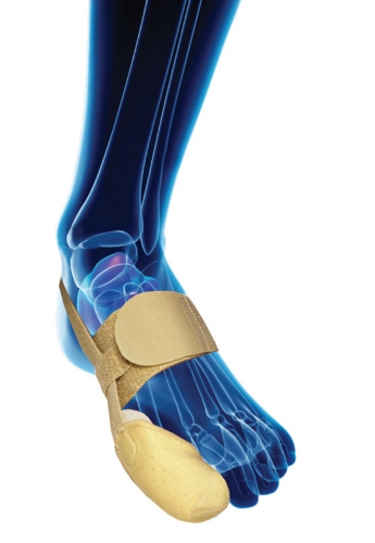 �������������� �������. ����������, ����������, ��������������� ������������. �� 07/06.